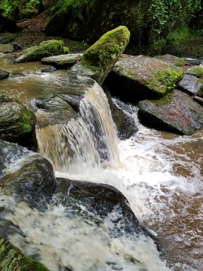 Wasserfall mit moosbedeckten Steinen