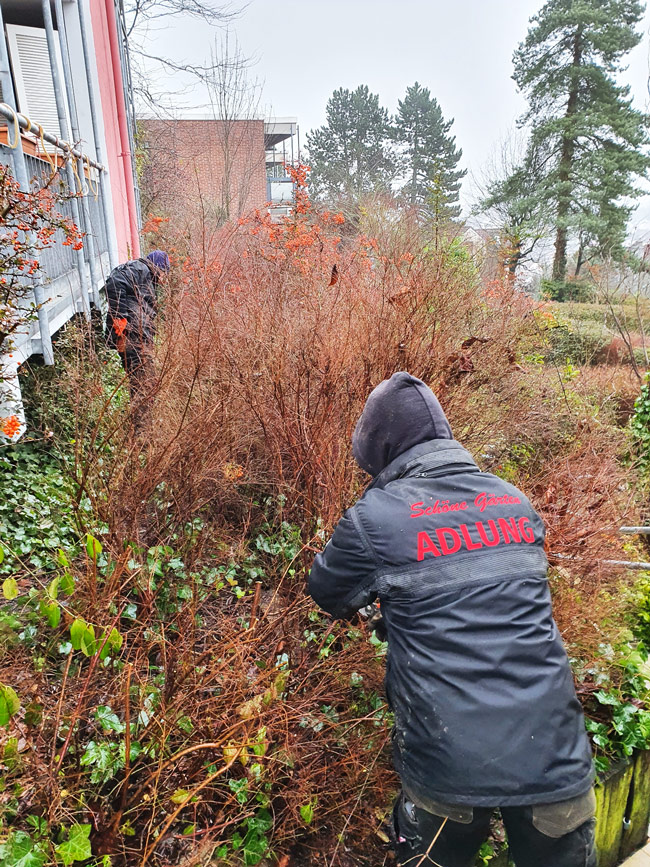 Herr Adlung beim Umgestalten